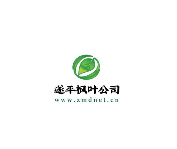 延勇,公司经营范围包括:一般项目:信息系统运行维护服务;网络技术服务